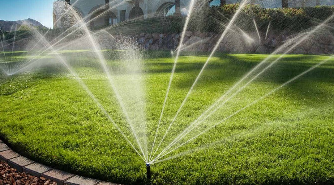 Irrigation: More important than you think!