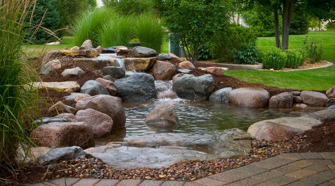 Ponds: A little piece of nature in your back yard!